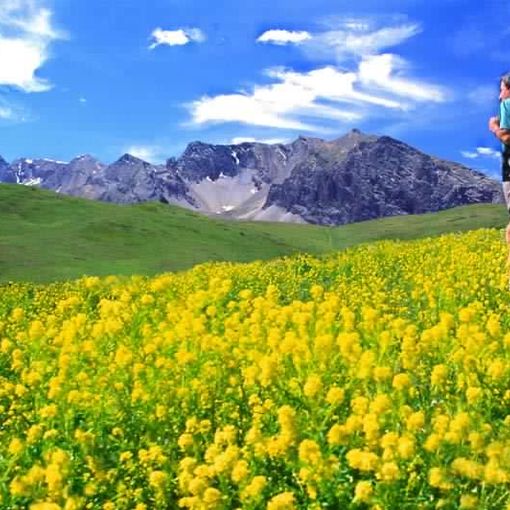 Comunità Green: dal Canavese alla Val Chiusella, oltre 9 milioni di euro dal Fondo per lo sviluppo delle montagne