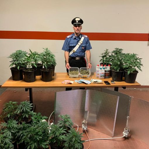 La ricetta per la marijuana? Nascosta in cucina tra le spezie e gli aromi: un arresto a San Mauro [VIDEO]