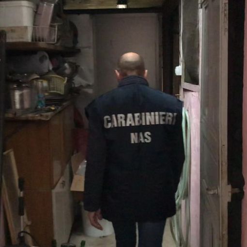 carabinieri dei Nas