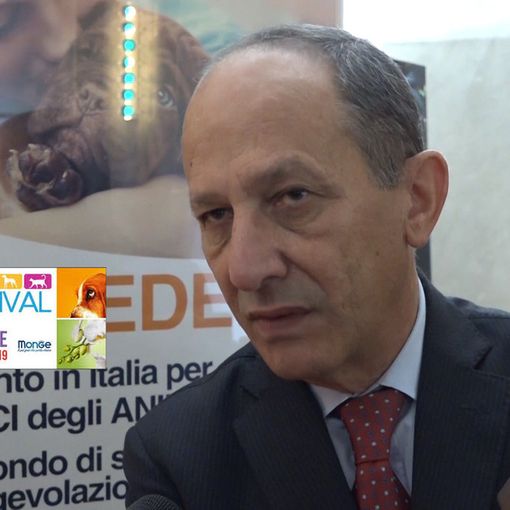 Piacenza: presentata ufficialmente PetsFestival 2019