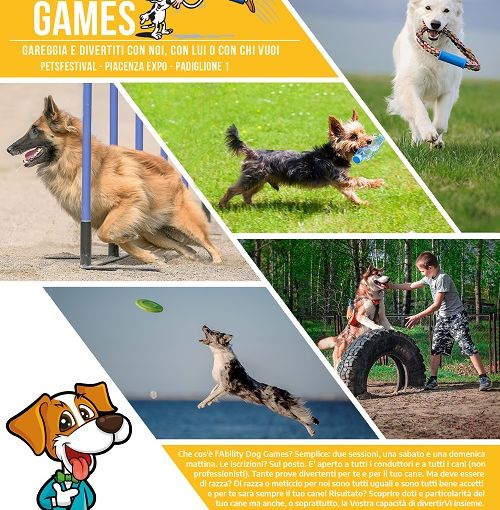 A PetsFestival puoi partecipare agli Ability Dog Games con il tuo fedele amico