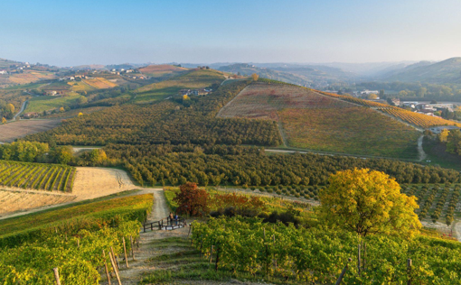 Itinerari enogastronomici in Piemonte: un viaggio tra vini e delizie regionali
