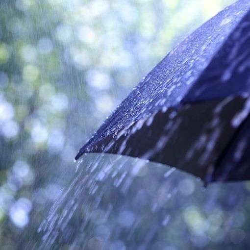 piove, ombrello bagnato dalla pioggia
