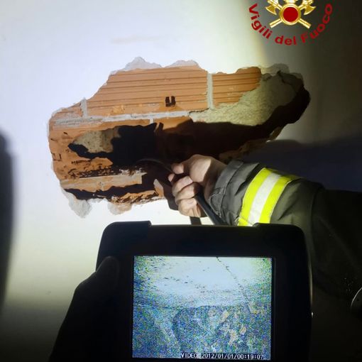 Albiano, i Vigili del Fuoco salvano gattino caduto in una canna fumaria
