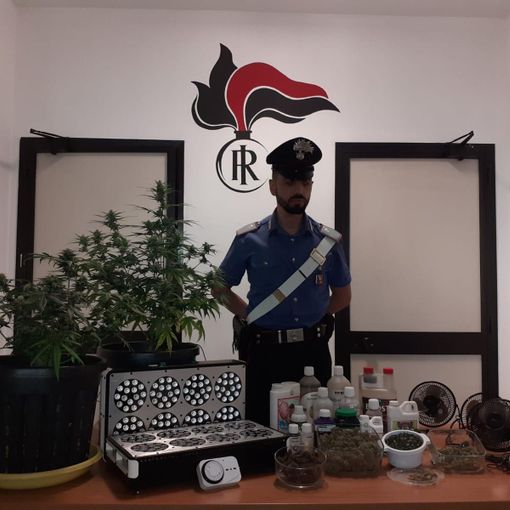 Castiglione Torinese, nella &quot;stanza segreta&quot; c'era la serra per la marijuana: arrestato 49enne [VIDEO]