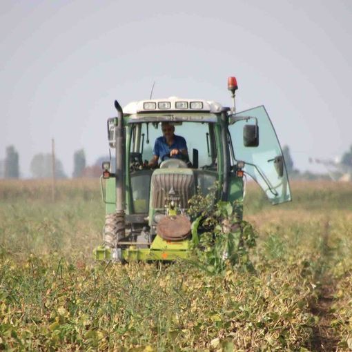 475 milioni di Fondi Fesr per l'ambiente, Marnati: &quot;Lavoreremo per la transizione ecologica&quot;