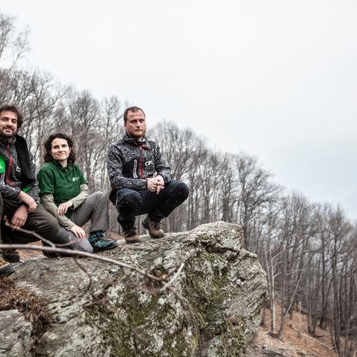 B&amp;B Village in Valchiusella. La nuova campagna di crowdfunding per creare il villaggio degli uccelli e dei pipistrelli
