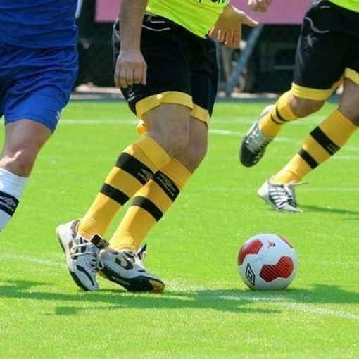 Il Piemonte scrive a Roma: &quot;Via libera in tempi brevi agli sport di contatto&quot;