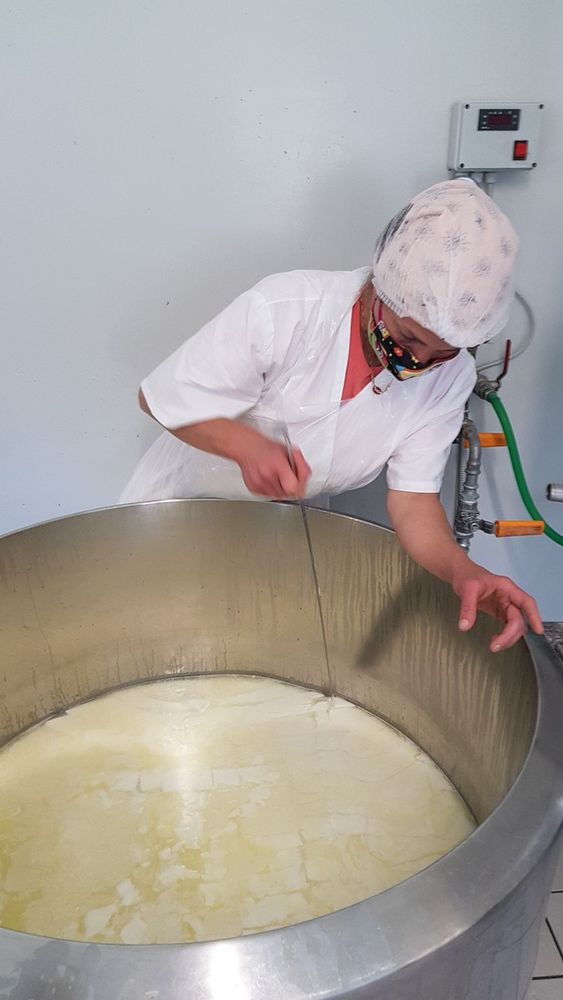 Un viaggio nel mondo del formaggio di capra, dove il rispetto per l’ambiente e per gli animali sposa tradizione e innovazione Un viaggio nel mondo del formaggio di capra, dove il rispetto per l’ambiente e per gli animali sposa tradizione e innovazione