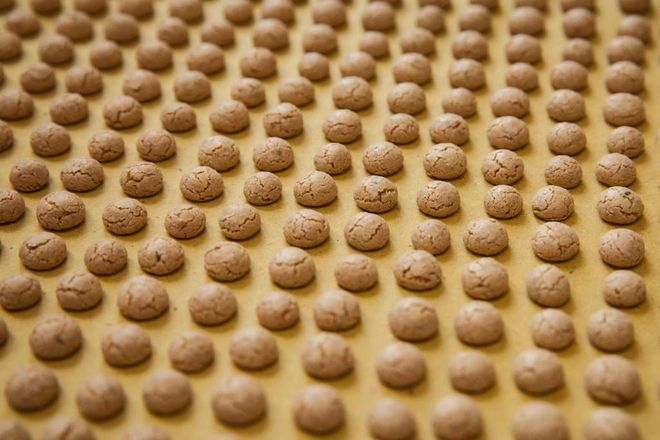 Fonte Archivio Storico dei Produttori Nocciolini di Chivasso