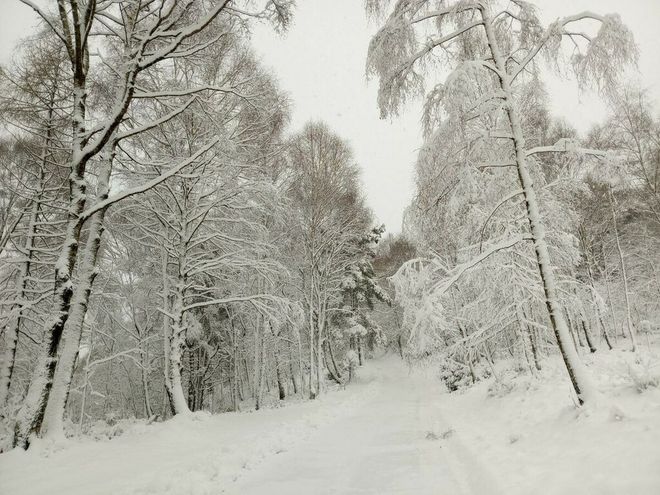 Meteo: continua il freddo e vento sulle pianure, neve sulle Alpi