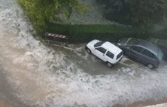 Danni in Canavese a causa della pioggia: ad Agliè un albero finisce sulla scuola