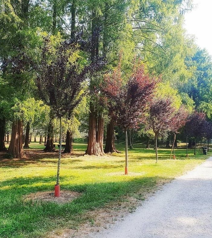 Mercoledì 9 si svolgerà la Fiera Agricola del Beato Angelo Carletti al Parco Mauriziano