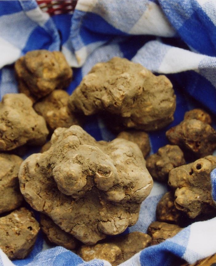 A Montiglio Monferrato torna la Fiera del Tartufo