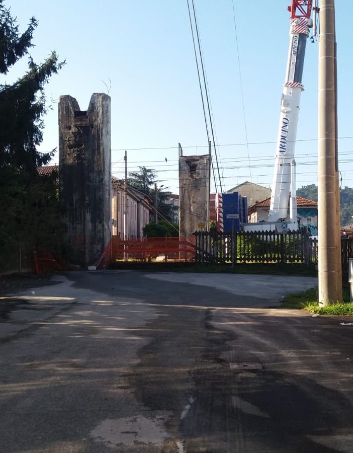 Alcuni momenti dell'abbattimento