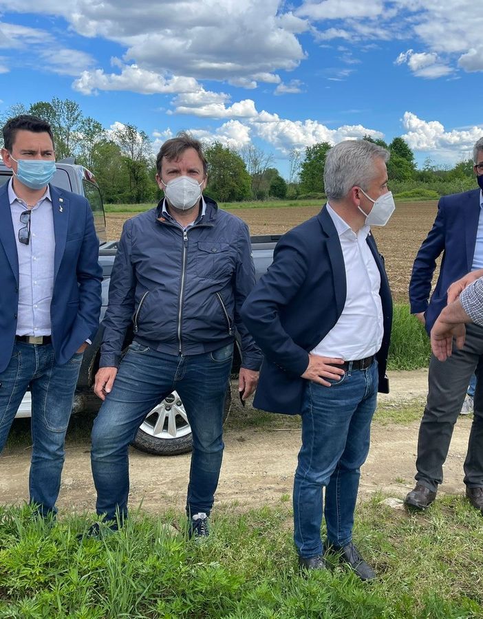 I terreni del Canavese devastati dai cinghiali, la visita dell’assessore Protopapa agli agricoltori