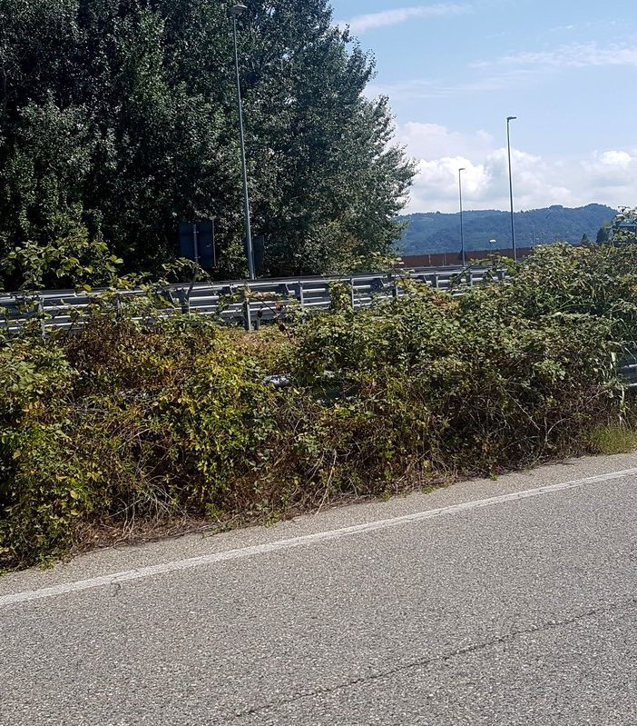 Brandizzo: Alternativa Civica, &quot;Serve manutenzione in strada Monviso!&quot;