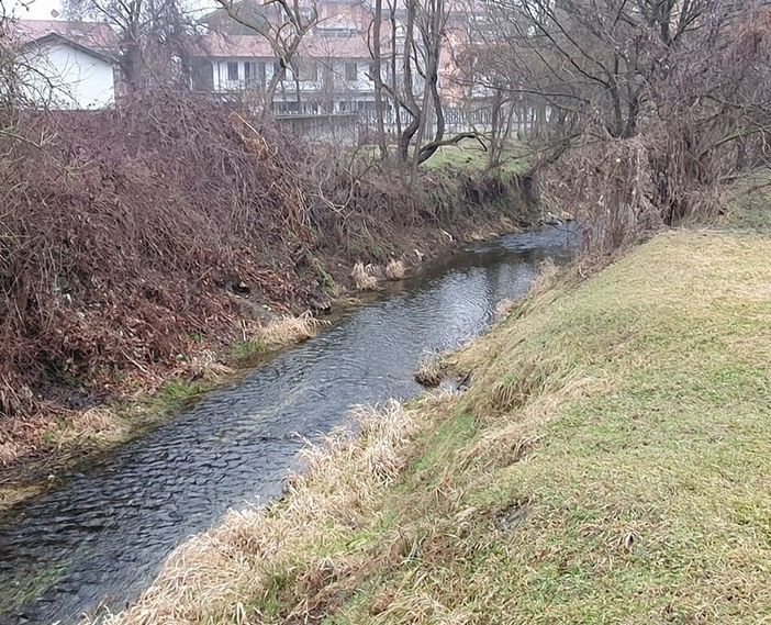 Troppe nutrie a Brandizzo, scatta la multa per chi viene beccato a dar loro da mangiare