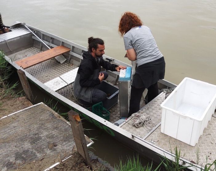 Microplastiche nel Po, a Chivasso l'iniziativa 'Manta River'