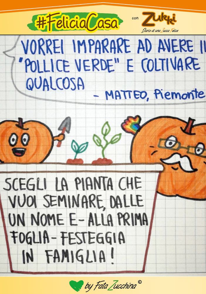 FavoleaCasa: Fata Zucchina legge e commenta “Pizza armonia” - racconto per l'anima