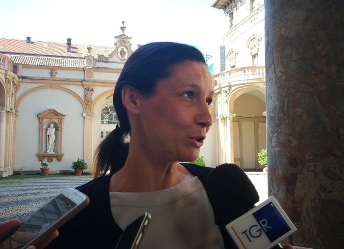 Affidi, Caucino: &quot;Spostiamo i soldi per darli direttamente alle famiglie. Non prendo lezioni da donne senza figli&quot;. Il Pd: &quot;A chi si riferisce?&quot;