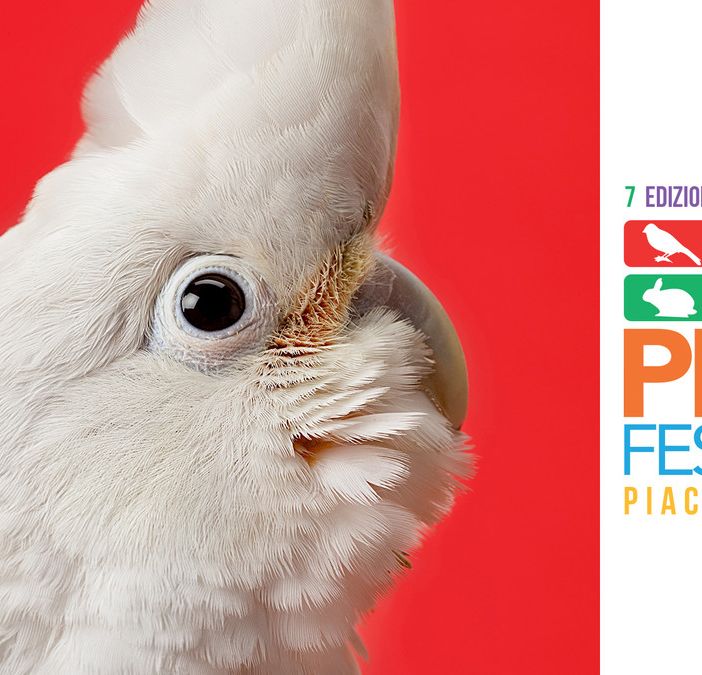 Eventi: l'area ornitologica di Petsfestival 2019