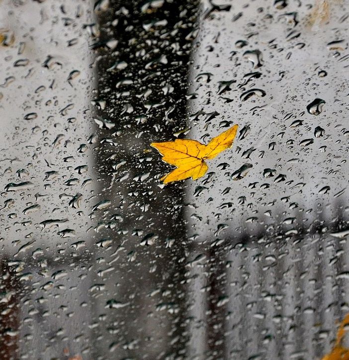 Le temperature torneranno a salire