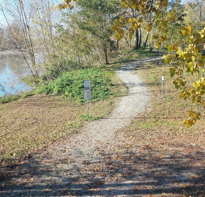 Via libera al finanziamento per valorizzare il Parco del Sabiuné di Chivasso