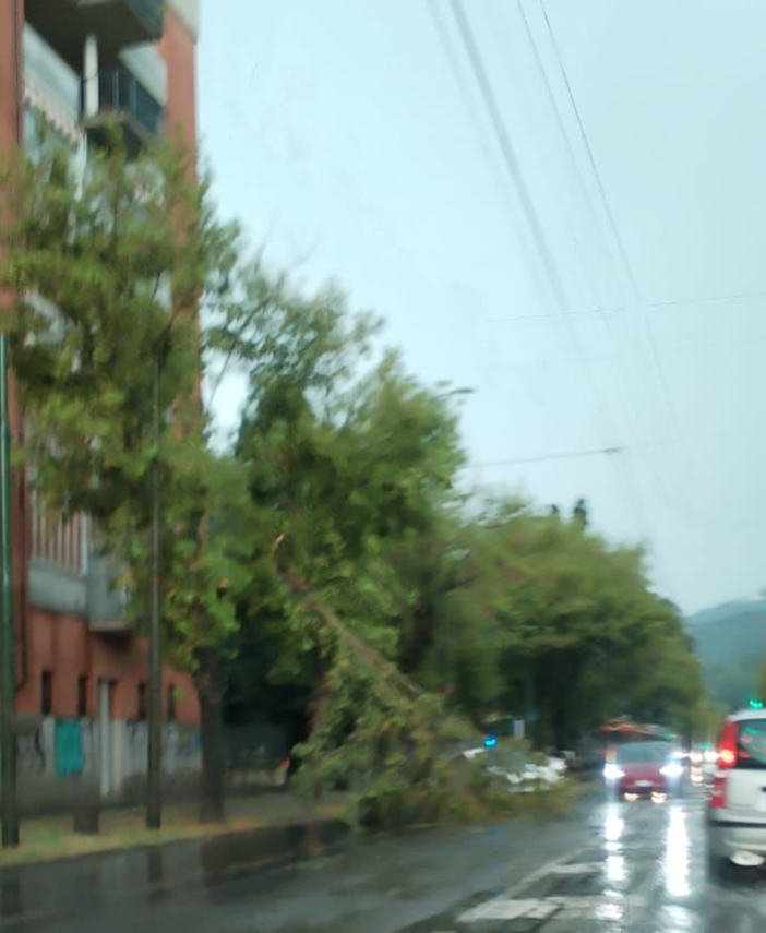 Emergenza maltempo in Piemonte, la Regione approva i primi interventi per i danni