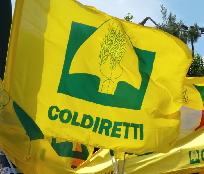 Ivrea, i terreni intorno alla Variante del Peduncolo restano agricoli