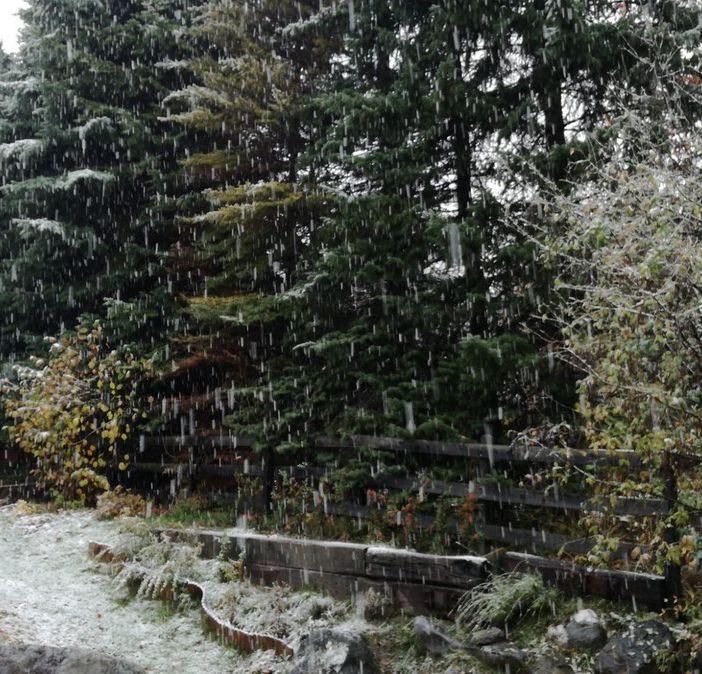 È arrivata la neve: stamattina primi fiocchi in alta Valle di Susa e alta Val Chisone [VIDEO]