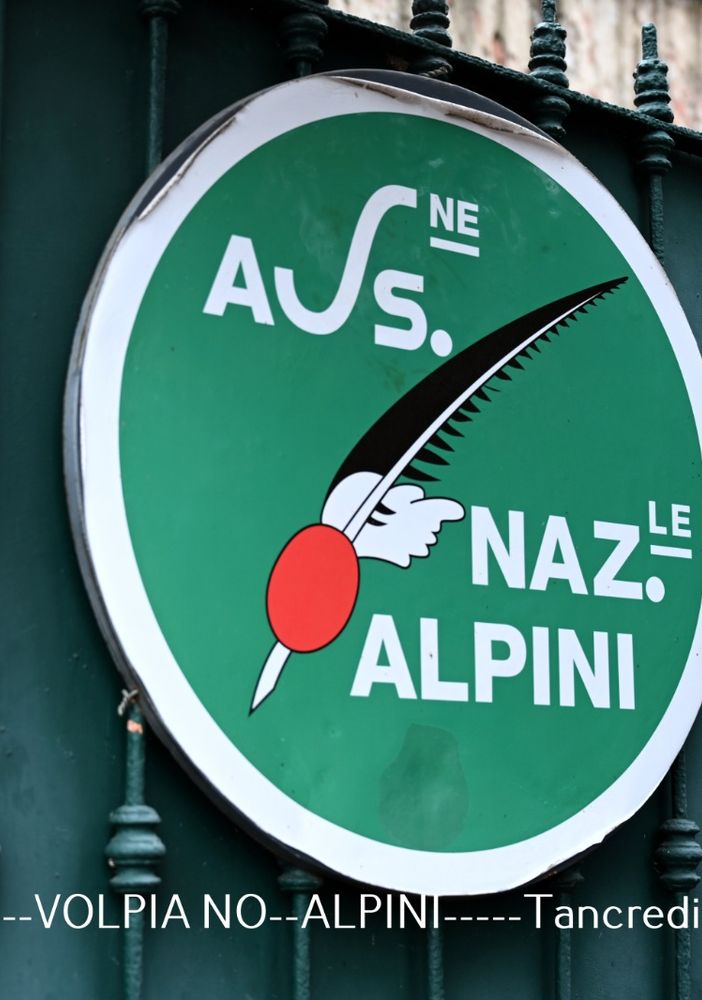 cerimonia con alpini e sindaco