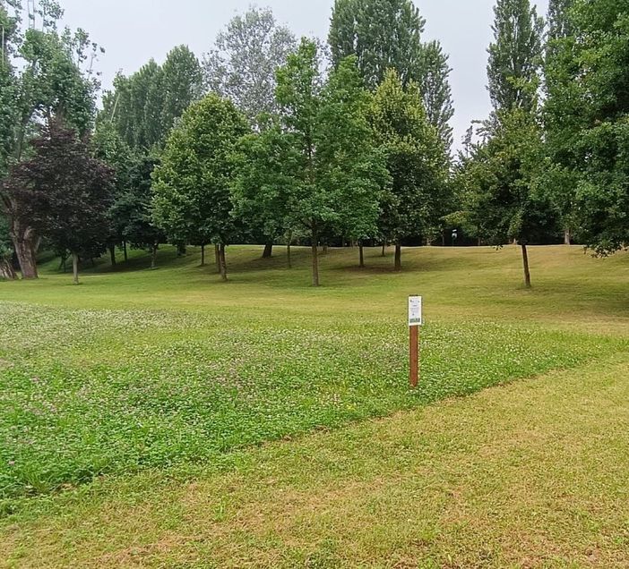 Con Apegrill aree per la biodiversità urbana a Chivasso