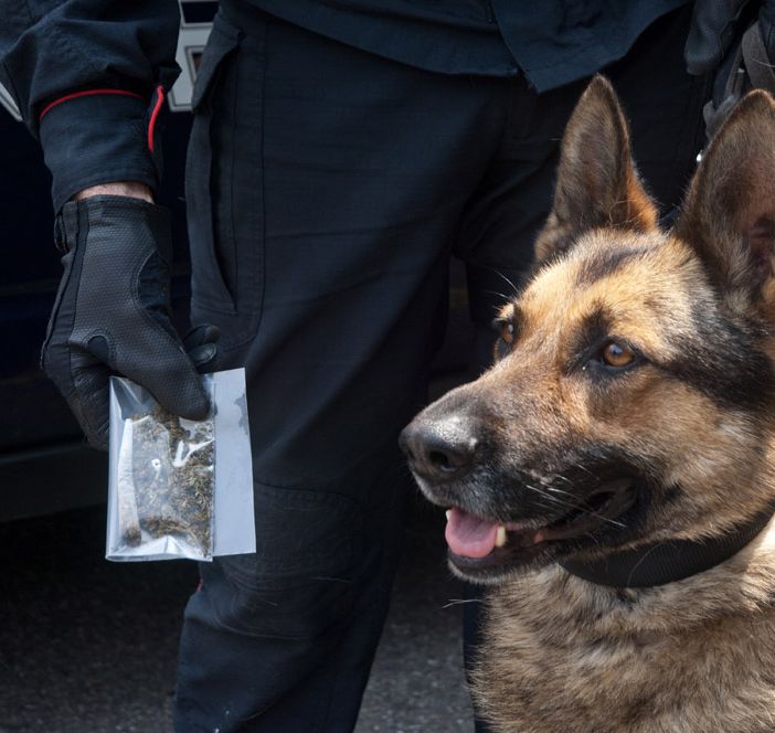 Feletto, spacciatore arrestato in casa: nell'abitazione nascondeva stupefacenti e quasi 4mila euro in contanti