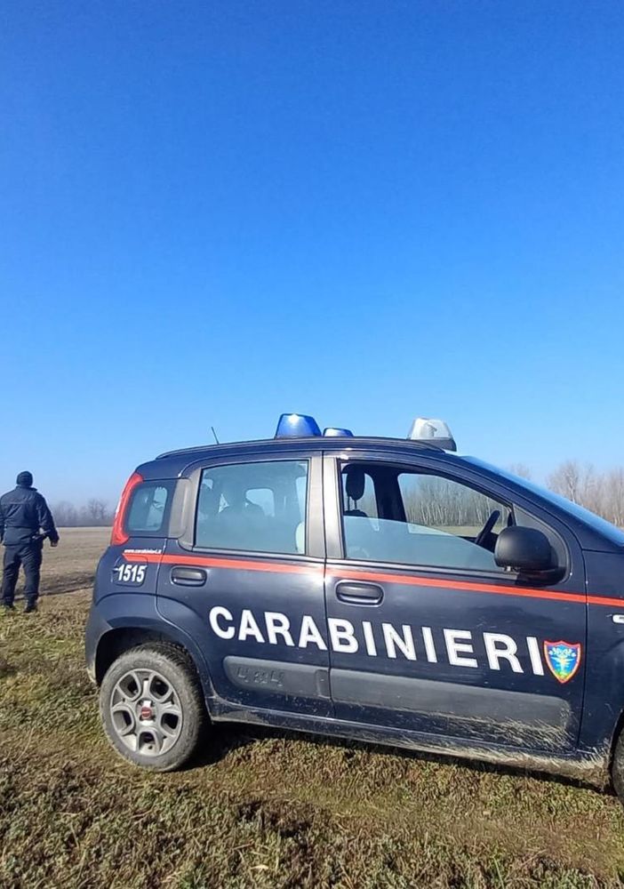 Occupavano senza titolo oltre 250 mila metri quadrati di terreni: denunciati dai carabinieri