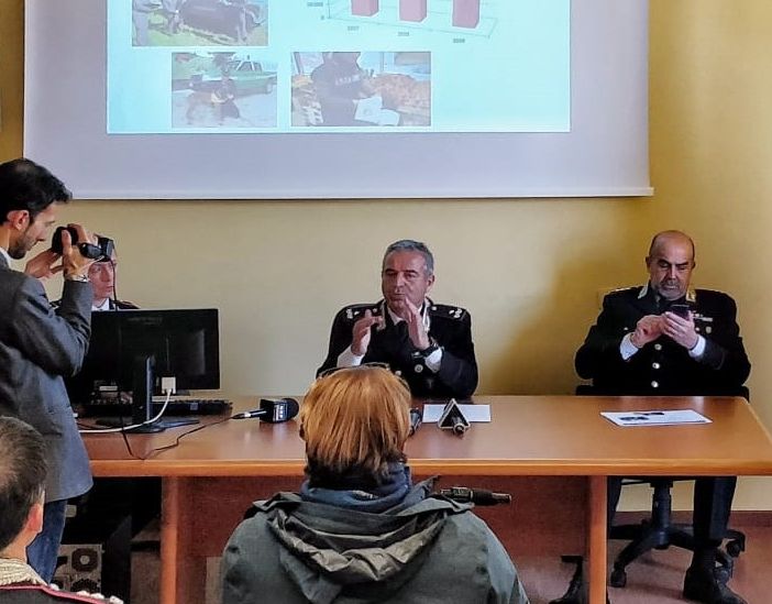 Incendi nei boschi di Val di Susa e nel Canavese: carabinieri forestali indagano su episodi seriali
