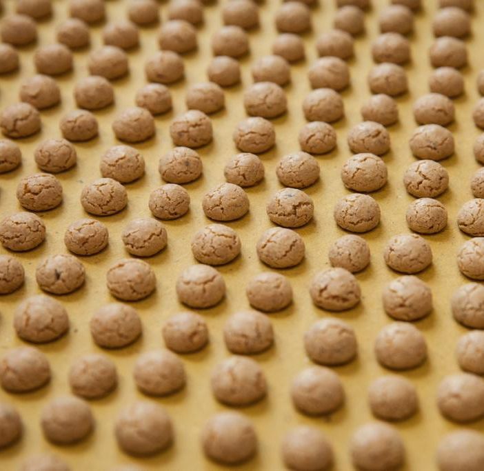 Fonte Archivio Storico dei Produttori Nocciolini di Chivasso