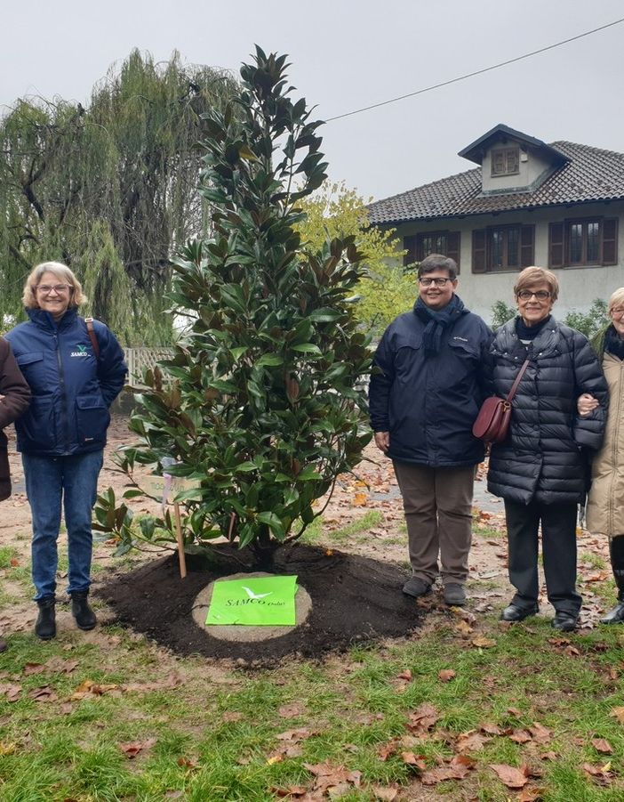 Celebrata a Chivasso la Giornata nazionale degli Alberi