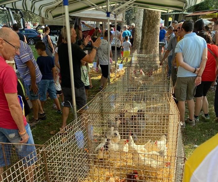 Chivasso, al via la storica Fiera del Beato Angelo Carletti