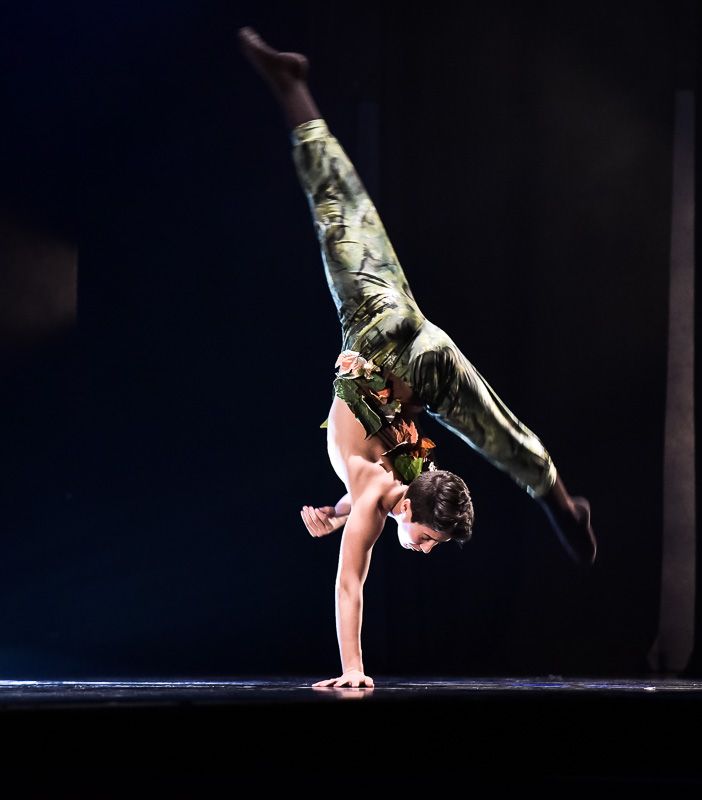 Il Centro Studio Danza Denise Zucca spegne dieci candeline: un trampolino di lancio per i ragazzi del territorio
