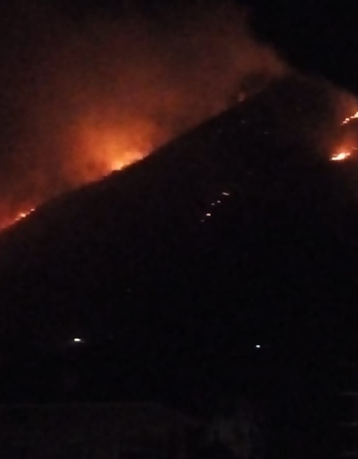Danni da incendi: aperti fino al 4 febbraio i bandi per i fondi regionali