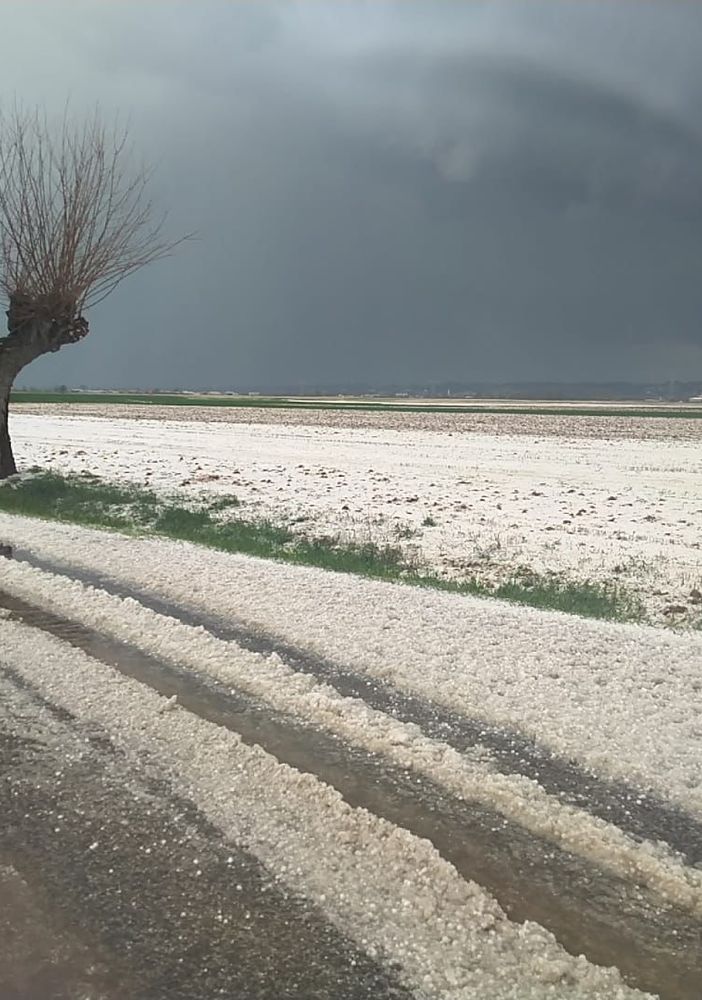 Chicchi grandi come ciliegie: sul Chierese arriva la grandine. Strade imbiancate alle porte di Torino