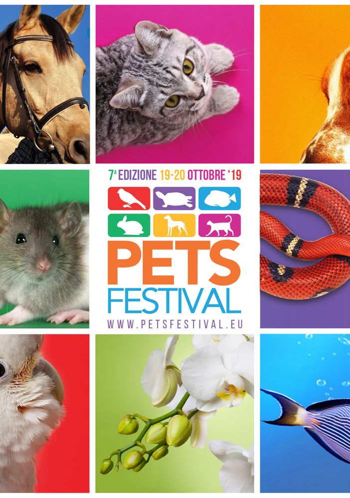 Petsfestival si prepara alla 7° Edizione: a Piacenza Expo dal 19 al 20 ottobre