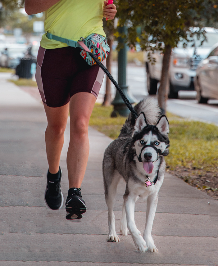 Petsfestival 2022: a passeggio per la città di Cremona con amici a due e quattro zampe