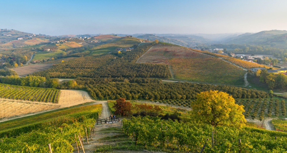 Itinerari enogastronomici in Piemonte: un viaggio tra vini e delizie regionali