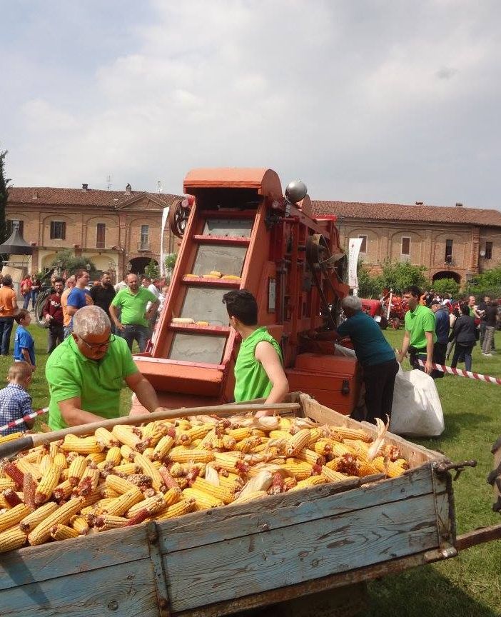Parte il conto alla rovescia per la   Mandria di Chivasso  che si appresta a festeggiare la festa patronale 2019  nei giorni 17-18-19-20 maggio 2019