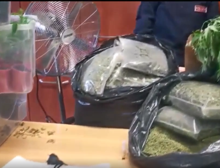 Droga sequestrata dalla Polizia