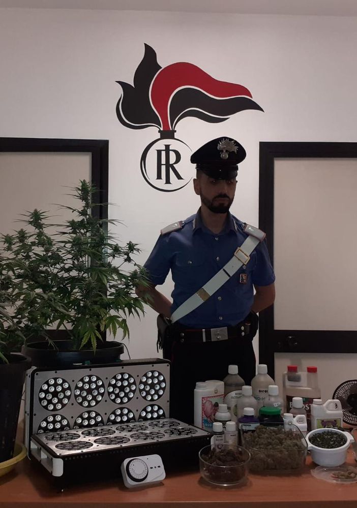 Castiglione Torinese, nella &quot;stanza segreta&quot; c'era la serra per la marijuana: arrestato 49enne [VIDEO]