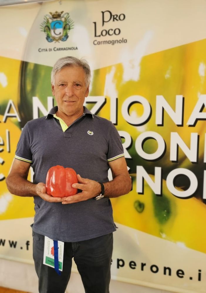 Il peperone di Carmagnola nell'anno del climate change, Tuninetti: &quot;Continuiamo a proteggerlo&quot; [VIDEO]