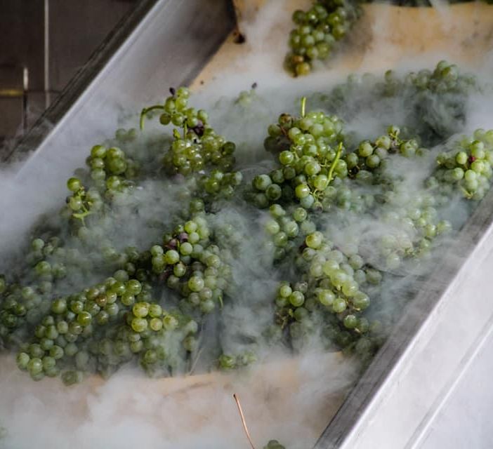 Coldiretti Piemonte sul vino:&quot;Serve liquidità per salvare cantine”